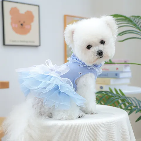 Haustier Hund Prinzessin Kleid Spitze Netz Tutu Rock Für Kleine Hunde Katzen Welpen Gänseblümchen Blumendruck Blau Hundehochzeit Party Kleidung