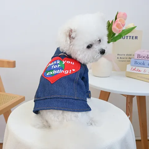 Süße Haustier Hund Denim Jacke Herz Erde Stickerei Welpenmantel Marineblau Denim Weste Mit Metall D Ring Geschirranschluss