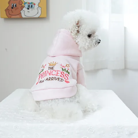 Huisdier Hond Kat Hoodie Polyester Zacht Warm Sweatshirt Prinses Prins Letter Borduursel Twee-benige Kleding Voor Kleine Middelgrote Honden
