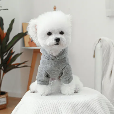 Pet Dog Cat Hoodie I Give Free Kisses Printed Fleece Lined Sweatshirt Heather Grey Casual Warm Clothes Small Dogs Cats