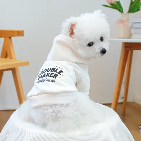 Haustier Hund Katze Kapuzenpulli Weiches Polyester Warme Kleidung Cartoon Dinosaurier Buchstaben Druck Für Kleine Hunde Welpen