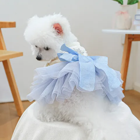 Robe de Princesse Élégante pour Animaux de Compagnie Haut en Dentelle Blanche Jupe en Maille Bleu Clair Avec Nœud Papillon et Paillettes