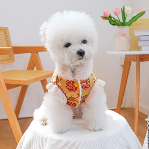 Traditional Chinese Style Pet Tang Suit Golden Vest With Faux Fur Collar New Year Festival Embroidery Clothes For Dogs Cats