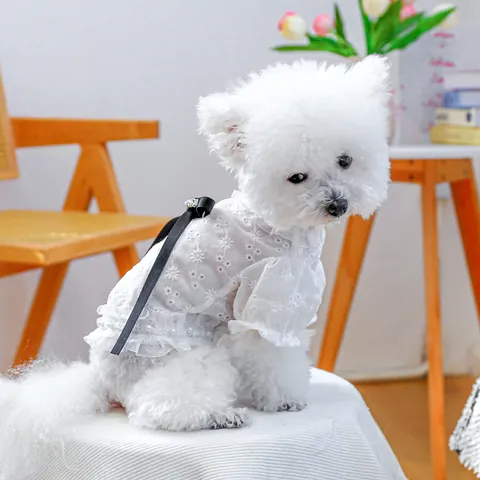 French Style Lace Pet Shirt Floral Embroidery Hollow Out Dog Shirt With Bowknot Artificial Pearl For Small Dogs Cats Puppy Clothes