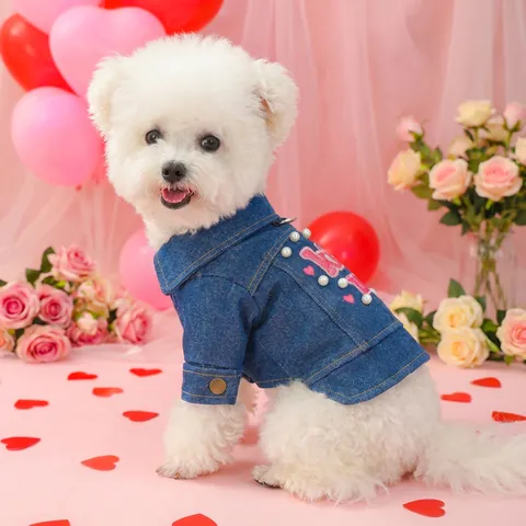 Haustier Hund Denim Weste Jacke Mit D-Ring Leine Loch Für Kleine Mittlere Hunde Stickerei Blumen Herz Muster Katze Welpen Kleidung