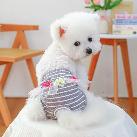 Pet Dog Sanitary Pants Lace Bowknot Physiological Diaper Skirt Washable Puppy Female Kitten Reusable Menstrual Underwear