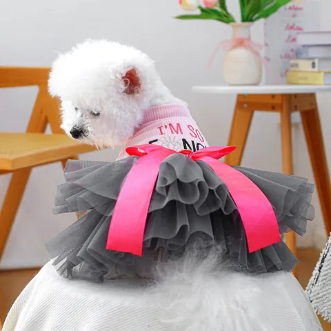 Gonna Tutu per Animali Domestici Autunno Inverno Vestito in Maglia Rosa con Fiocco Stampato Abbigliamento per Cani Piccola Taglia