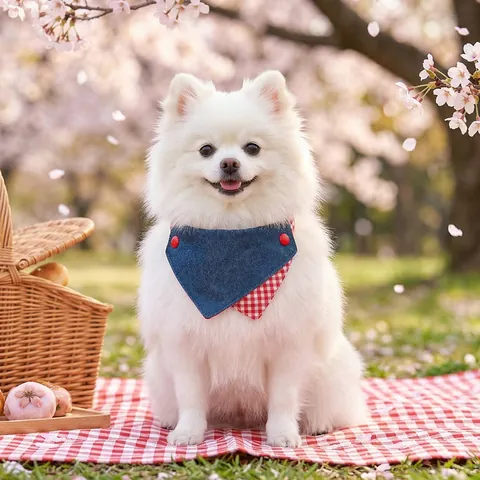 Pet Dog Cat Denim Bandana Scarf Plaid Floral Pattern Bowknot Bib Adjustable Neckwear For Small Medium Dogs Cats Puppy Kitten Pet Decoration Accessories
