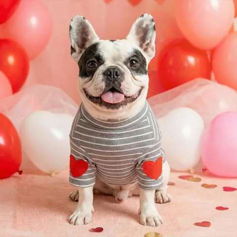 Casual Striped Pet Dog Shirt With Heart Patch Goal Hunter Sporty Small Medium Dog Clothes Polyester High Neck Vest Top