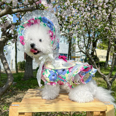 Pastoral Floral Polyester Pet Dress With Lace Ruffles And Satin Bow Cute Princess Dog Summer Clothes With Matching Sun Hat