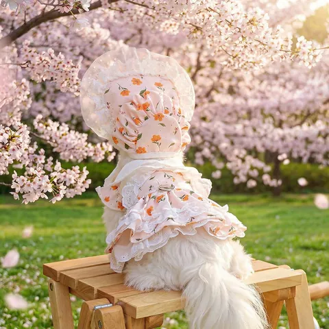 Floral Pet Dress And Sun Hat Set For Small Dogs Cats Lace Ruffle Princess Dog Skirt With Bonnet Summer Puppy Outfits Clothing