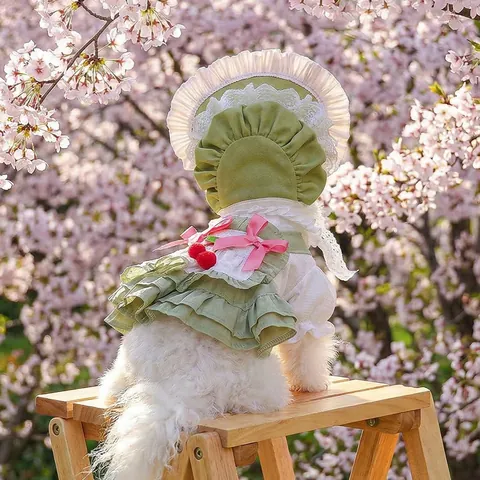 Floral Pet Dress And Sun Hat Set For Small Dogs Cats Lace Ruffle Princess Dog Skirt With Bonnet Summer Puppy Outfits Clothing