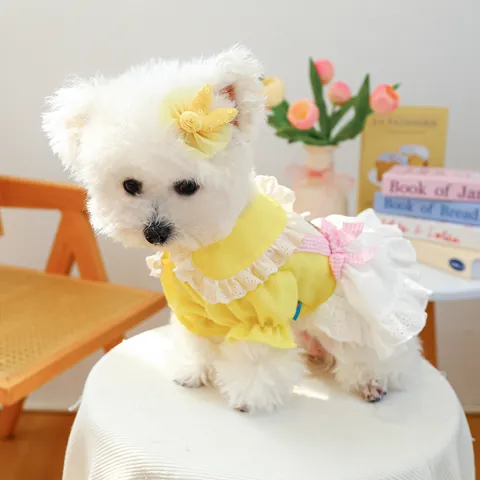 Ensemble Robe de Princesse pour Chien de Compagnie Avec Barrettes à Nœud de Lapin Broderie d'Ours Jupe Tutu Jaune Pour Petits Chiens Chats Chiot