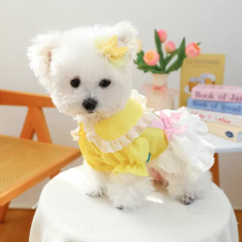 Ensemble Robe de Princesse pour Chien de Compagnie Avec Barrettes à Nœud de Lapin Broderie d'Ours Jupe Tutu Jaune Pour Petits Chiens Chats Chiot