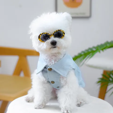 Gafas de Sol para Mascotas con Estampado de Leopardo Retro Marco Ovalado Accesorio Decorativo para Perros Pequeños y Gatos Moda Foto