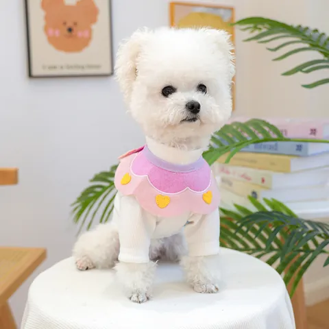 Simpatico Bavaglino per Animali Domestici Sciarpa per Cani Bandana per Gatti Con Motivi a Cuore Anatra Animali Morbido Poliestere Sciarpa per Animali Domestici Collare Decorativo Accessori per Feste di Compleanno