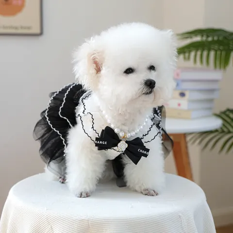 Elegante Collar de Perlas Artificiales de Imitación para Mascotas Con Lazo de Satén y Flor de Camelia para Perros Gatos Joyería Ajustable