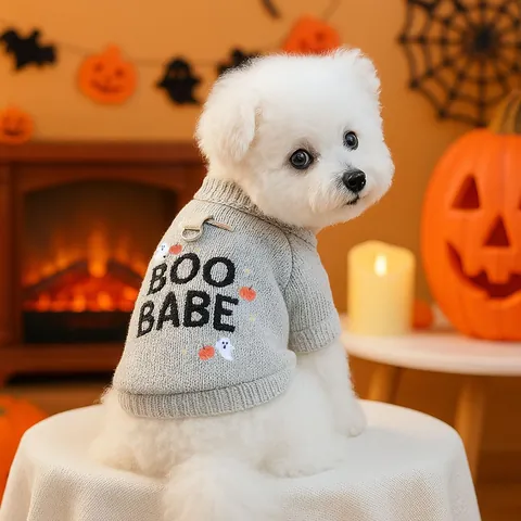 Pull en Tricot d'Halloween pour Chien Chat Gris Boo Babe Fantôme Citrouille Broderie Vêtements Chauds Avec Anneau en D en Métal