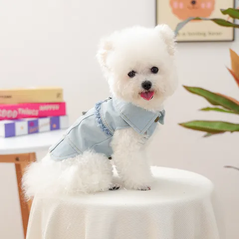 Chaleco de Mezclilla de Moda para Mascotas con Decoración de Estrella de Strass y Borlas Chaqueta Cálida Azul Claro para Perros