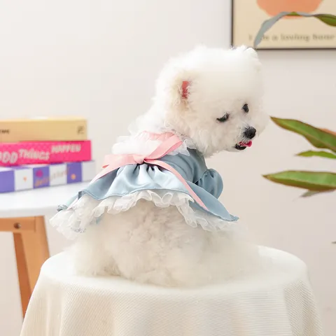 Haustier Prinzessin Satin Kleid Graublau Rosa Schleife Herz Stickerei Spitze Puffrock Für Kleine Hunde Welpen Katzen Geburtstag Party Kleidung