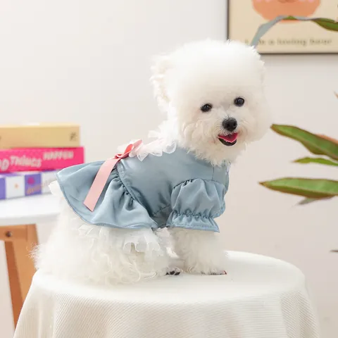 Haustier Prinzessin Satin Kleid Graublau Rosa Schleife Herz Stickerei Spitze Puffrock Für Kleine Hunde Welpen Katzen Geburtstag Party Kleidung