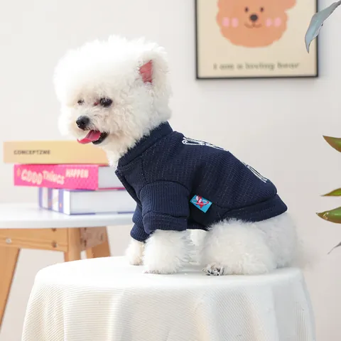 Huisdier Hond Wafelbreisel Sweatshirt Marineblauw Slogan Print Cute Is My Middle Name Pullover Voor Kleine Honden Katten