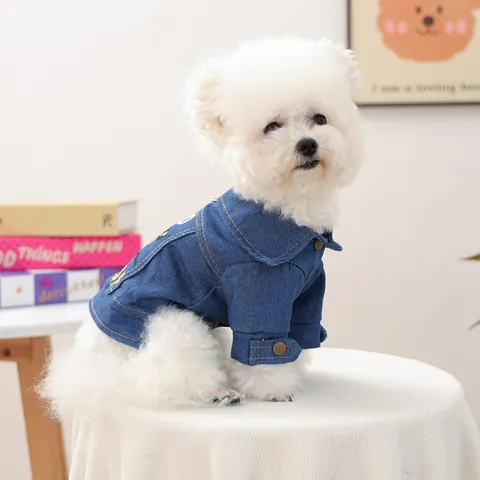 Chaqueta de Mezclilla para Mascotas Ropa Cálida de Otoño Invierno para Perros Pequeños Gatos Bordado Too Cool For Rules Abrigo