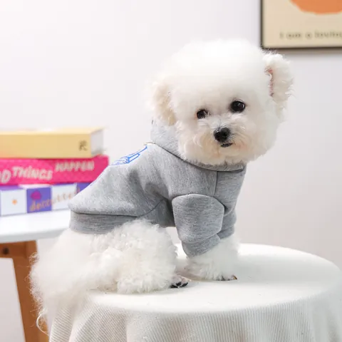 Felpa con Cappuccio per Cani e Gatti Calda e Comoda in Maglia di Cotone Con Ricamo a Margherita e Anello a D Grigio Abbigliamento Cuccioli