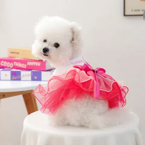 Abito Tutu di Compleanno per Animali Domestici in Rete a Strati Gonna per Cuccioli Ricamata Con Design a Torta Abbigliamento Con Fiocco Strass per Cani Gatti