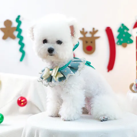 Collier de Noël pour Animaux de Compagnie Dentelle Gaze Nœud Papillon Chien Chat Bavoir Accessoire de Cou pour Petits Animaux Déguisement Festif Chiot Chaton