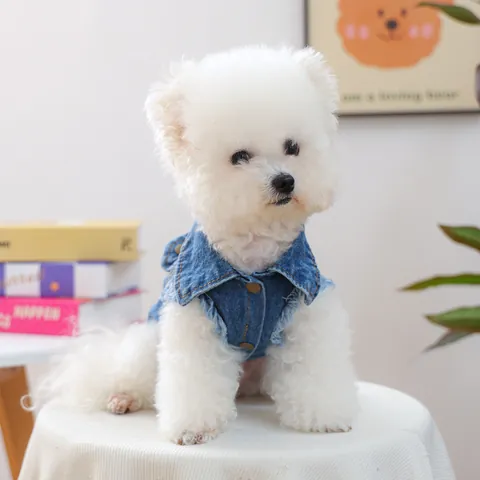 Vintage Gewassen Blauwe Denim Huisdier Vest Jas Met Metalen D-Ring Voor Kleine Honden Katten Mode Mouwloze Kleding