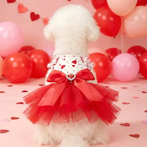 Vestito da Principessa per Cani e Gatti per San Valentino Gonna Tutu in Rete con Motivo a Cuore Rosso e Fiocco di Raso