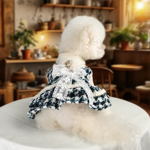 Elegante Huisdier Hond Kat Jurk Tweed Prinsessenstijl Kleding Met Kant Strik Voor Herfst Winter Kleine Honden Katten Kleding