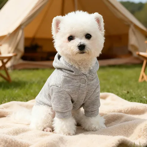 Valentine's Day Pet Hoodie For Small Dogs Cats Hooded Polyester Puppy Clothes With Heart Letter Embroidery Leash D-Ring Pocket Winter Warm Casual Cat Dog Sweatshirt