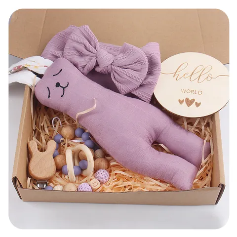 Rabbit Doll And Pacifier Clip Chain And Silicone Wood Teether And Bow Headband And Milestone Card Gift For Baby