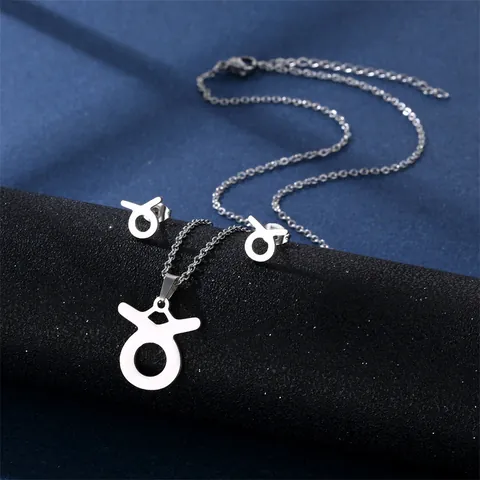 Set di Gioielli in Acciaio Inossidabile 304 12 Segni Zodiacali Argento Minimalista Collana Pendente Orecchini Donna Regalo
