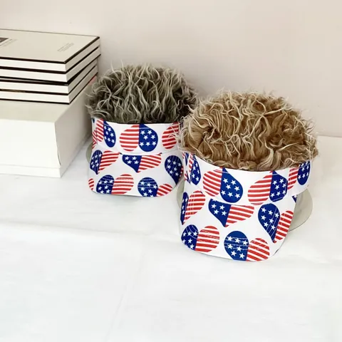 Visière Motif Drapeau Américain Avec Perruque Cheveux Hérissés Originale Hommes Femmes Fête Indépendance Accessoires Costume