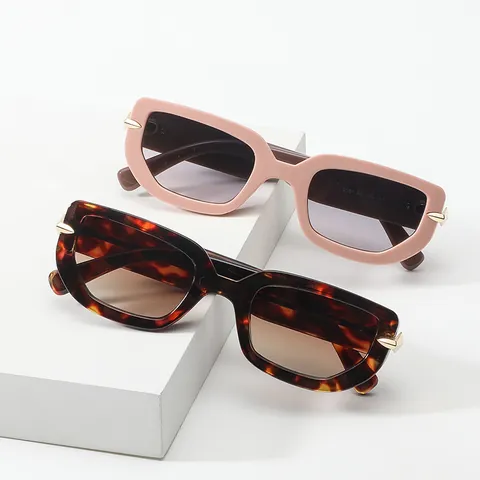 Gafas de Sol Vintage de Polígono Irregular para Mujeres Hombres Moda Montura de PC Lente de AC Protección UV400 Gafas Rectangulares