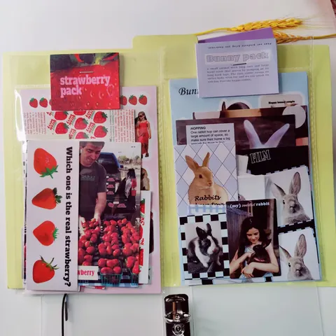 Kreatives DIY Aufkleber Pack Erdbeere Hase Muster Ästhetisches Scrapbooking Material Für Journal Tagebuch Foto Dekoration
