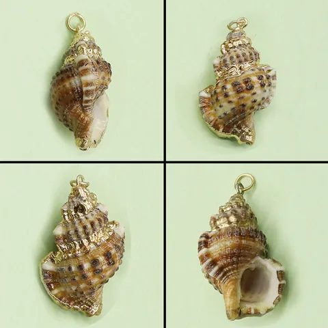 Natural Shell Conch Pendant Electroplated Gold Edge Brown Sea Snail Charm For DIY Jewelry Making Handmade Necklace Accessory