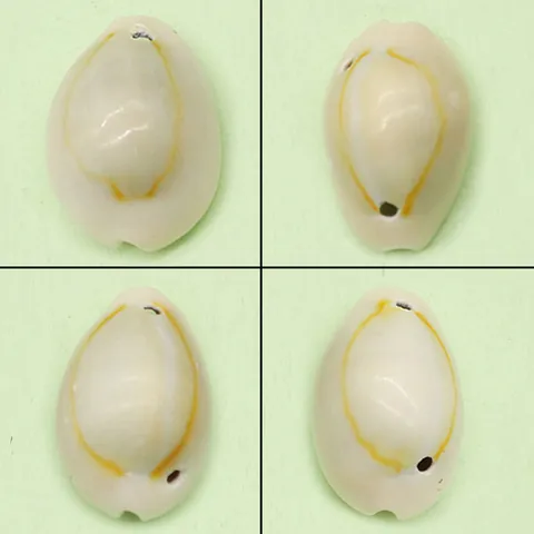 Natural White Cowrie Shell Pendants With Drilled Hole Electroplated Conch Shell Loose Beads For DIY Necklace Jewelry Making