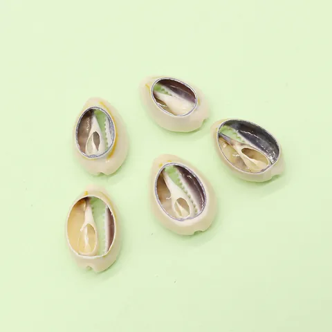 Natural Shell Electroplated Cowrie Shell Pendant Hollow Spiral Conch Charm For DIY Necklace Jewelry Making Accessories
