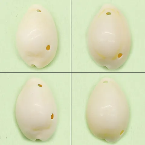 Natural White Cowrie Shell Pendants Polished Sea Shell Charms With Holes For DIY Necklace Bracelet Jewelry Making