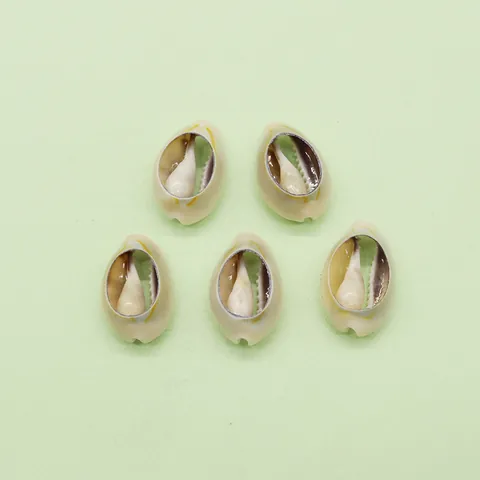 Natural Hollow Cowrie Shell Pendant White Conch Shell Charm For DIY Necklace Bracelet Earring Jewelry Making Accessory