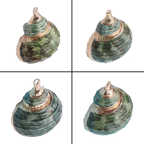 Natuurlijke Groene Turbo Schelp Conch Hanger Gegalvaniseerde Gouden Rand Charm Voor DIY Sieraden Maken Ketting Accessoires