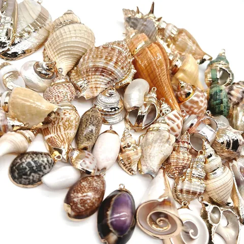 Pendentifs en Coquillage Naturel Bordure Dorée Électroplaquée Charms pour Fabrication de Bijoux DIY Accessoires de Boucles d'Oreilles et Colliers