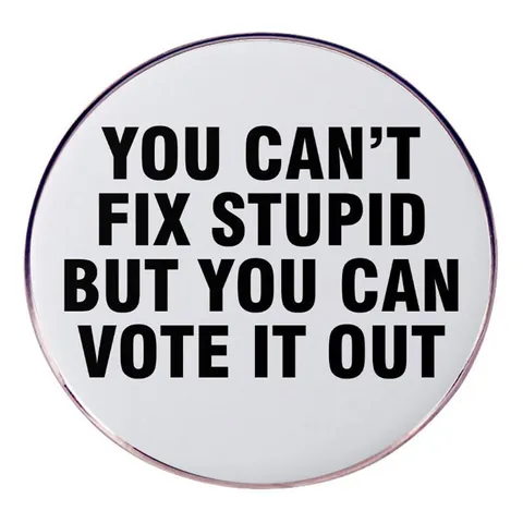 Humorvolle You Can't Fix Stupid But You Can Vote It Out Runde Legierung Slogan Brosche Pin Für Damen Herren Schmuck Accessoire