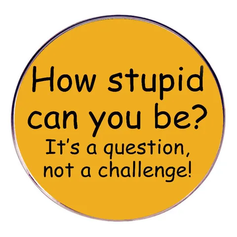Round Alloy Enamel Pin Brooch Humorous Quote How Stupid Sarcastic Badge For Backpack Jacket Hat Decoration Jewelry Gift