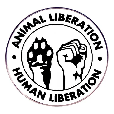 Spilla In Smalto Animal Liberation Human Liberation In Lega Distintivo Rotondo Per Uomo Donna Gioielli Per La Giustizia Sociale Regalo