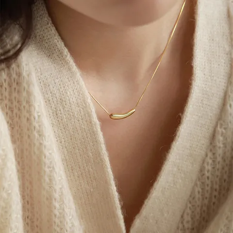 Collier Pendentif en Acier Inoxydable Minimaliste pour Femmes Élégante Chaîne de Cou Serpent Or Argent Bijoux Clavicule